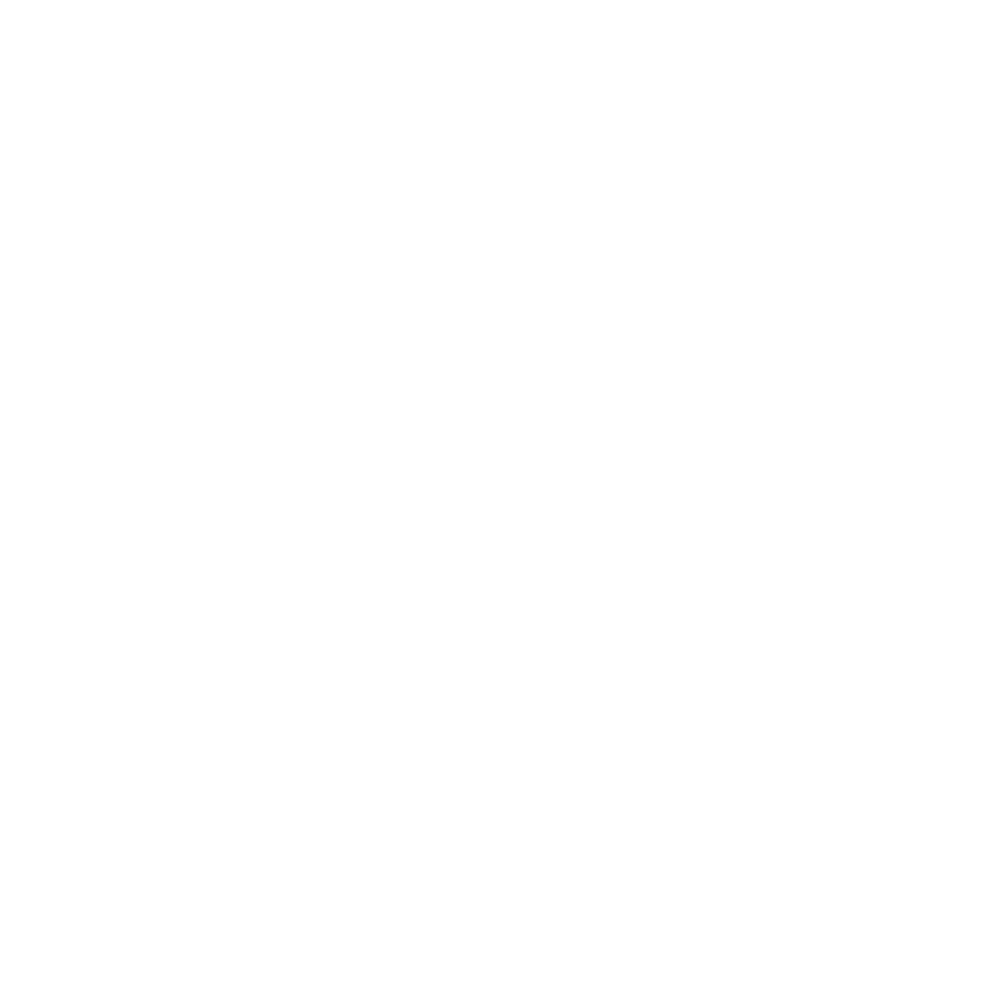 Home Depot