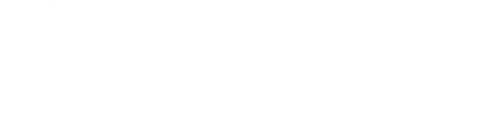 BitGo Inc.