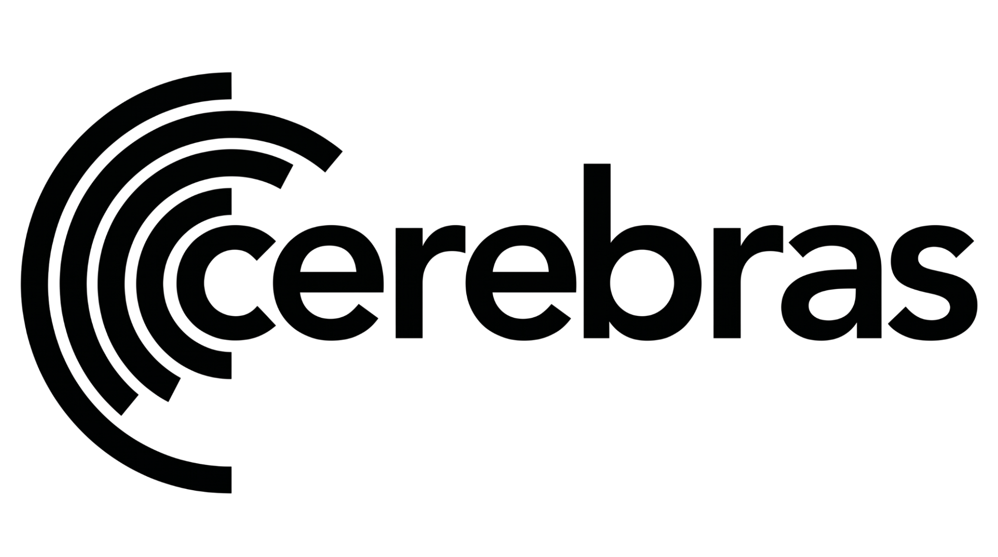Cerebras Systems Inc.