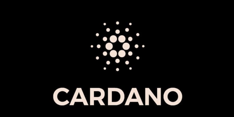 Zdroj: Cardano